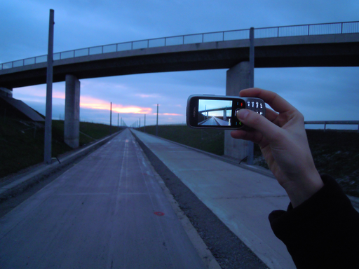 [AFG-BGE-0028] AffiELISA® 1 aminocyclopropane 1 carboxylate synthase like protein 1 (ACCS) ELISA kit -- test test